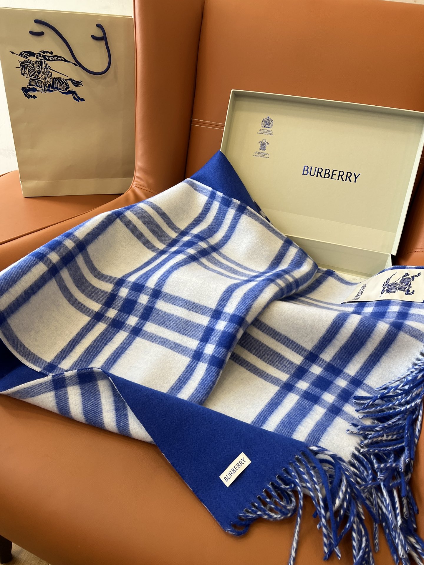 Burberry Scarves