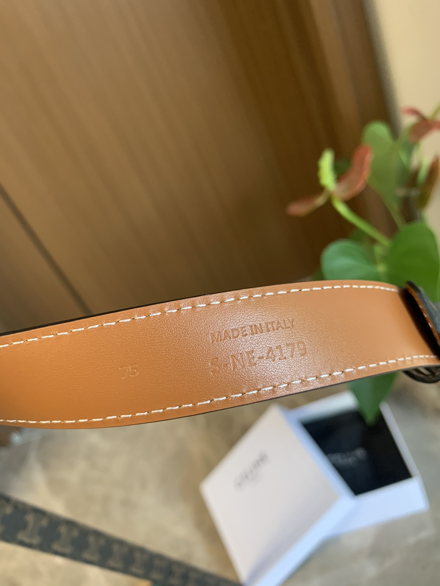 Celine Belt for Women
