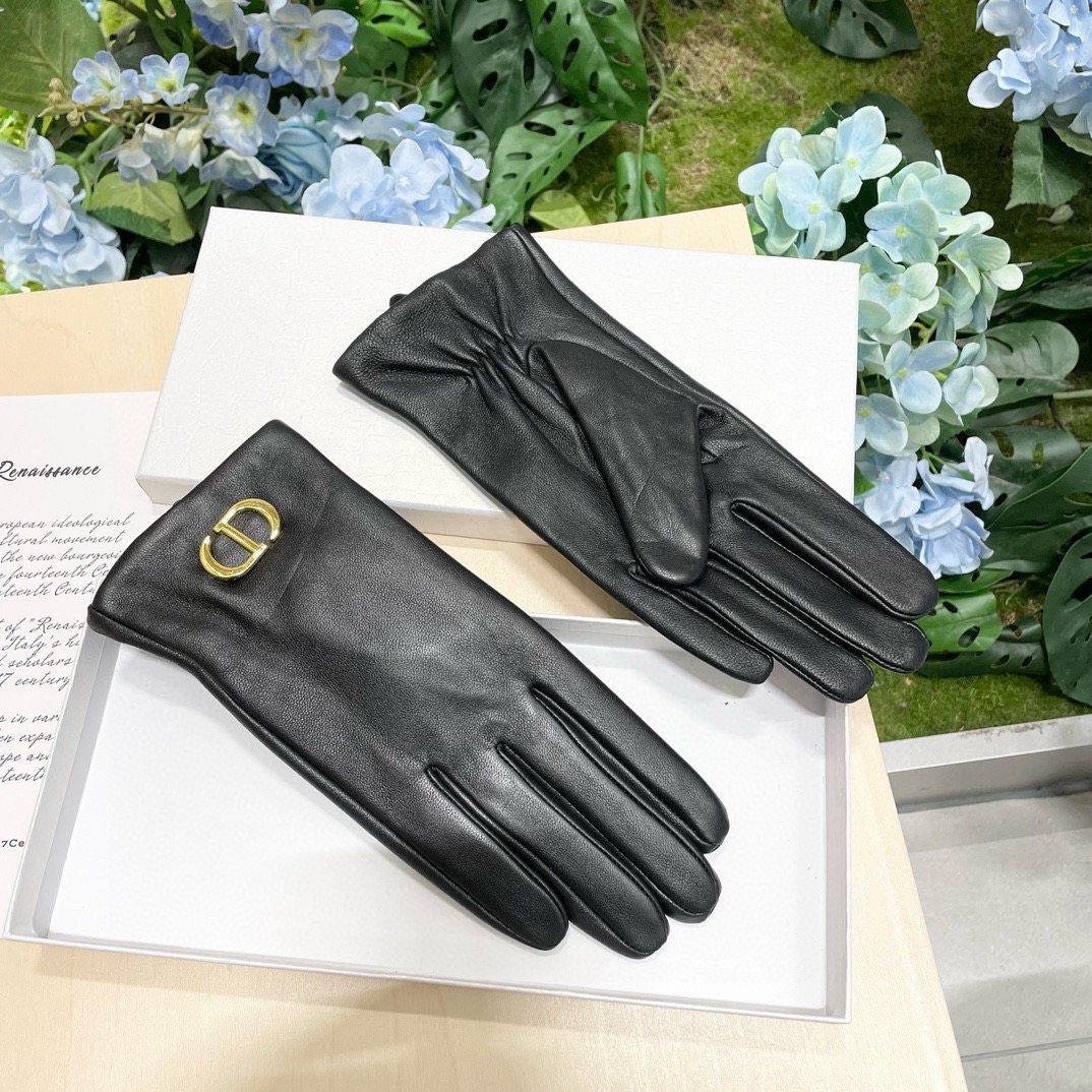 Dior Gloves