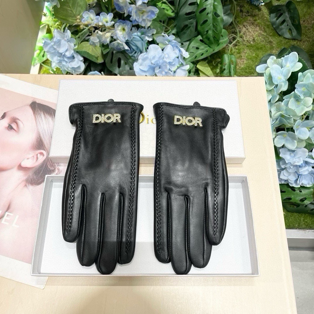 Dior Gloves