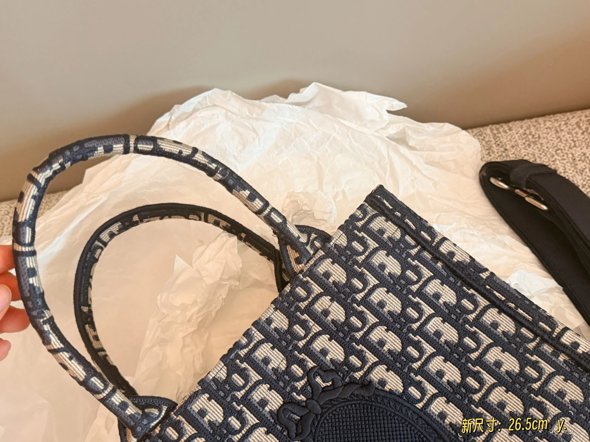 Dior Tote Bag