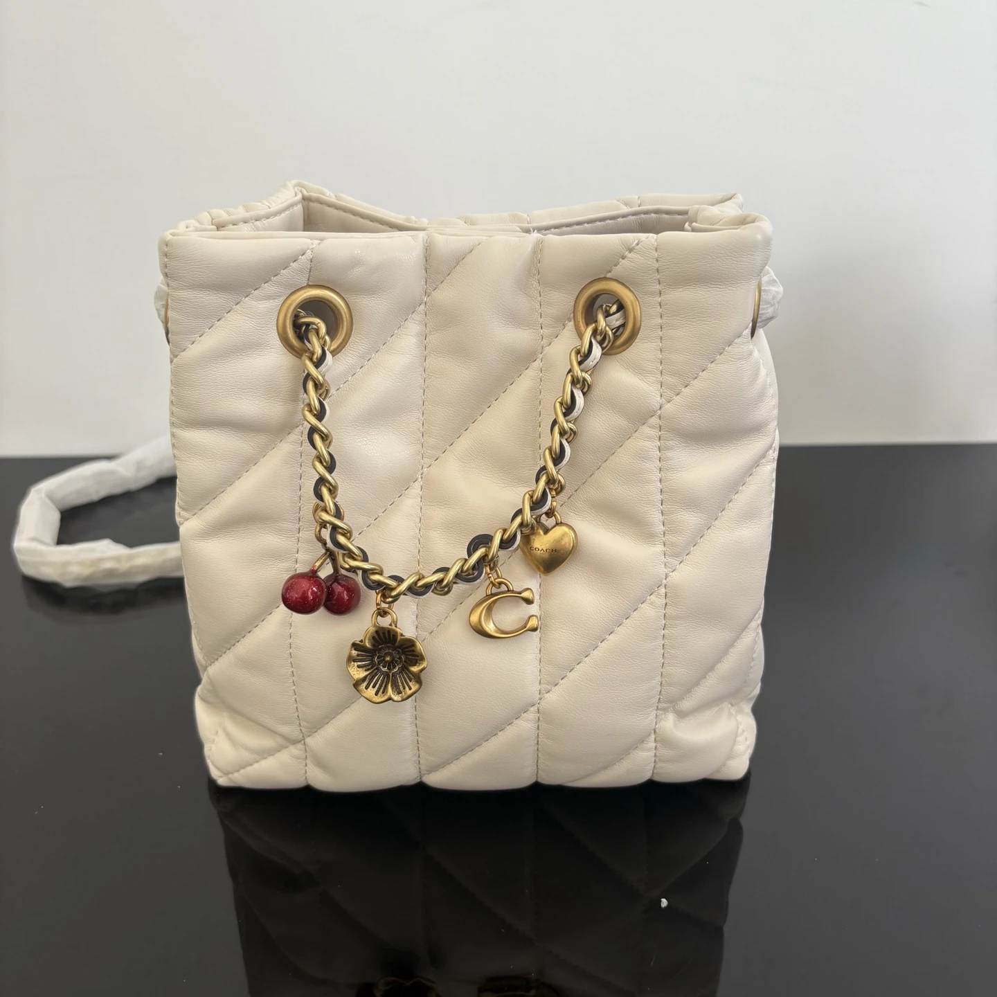 Coach CES62 Bag