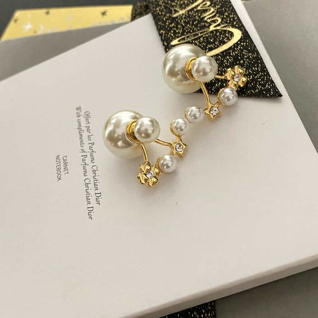 DIOR EARRING 60
