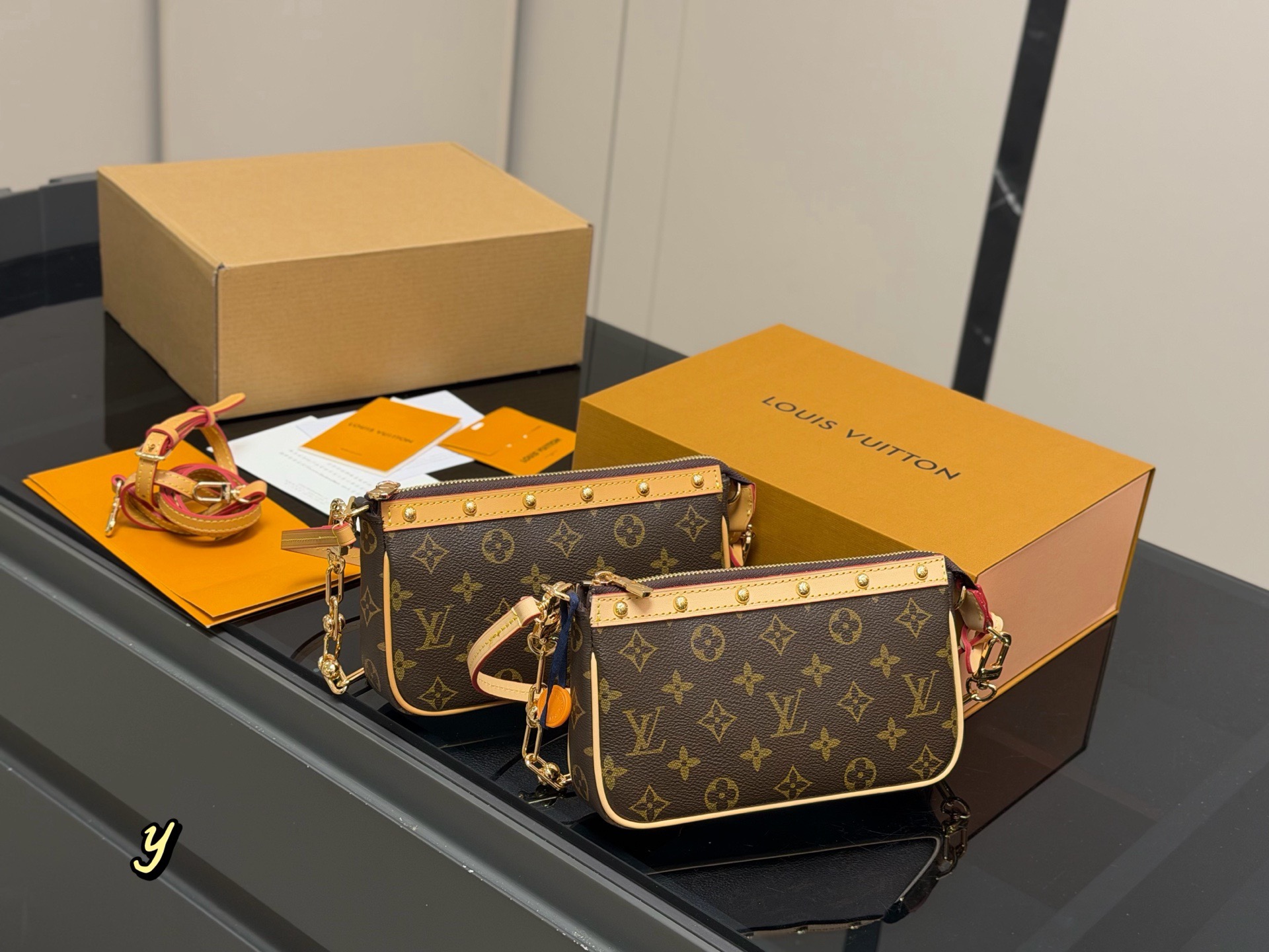 LV Hobo Bag