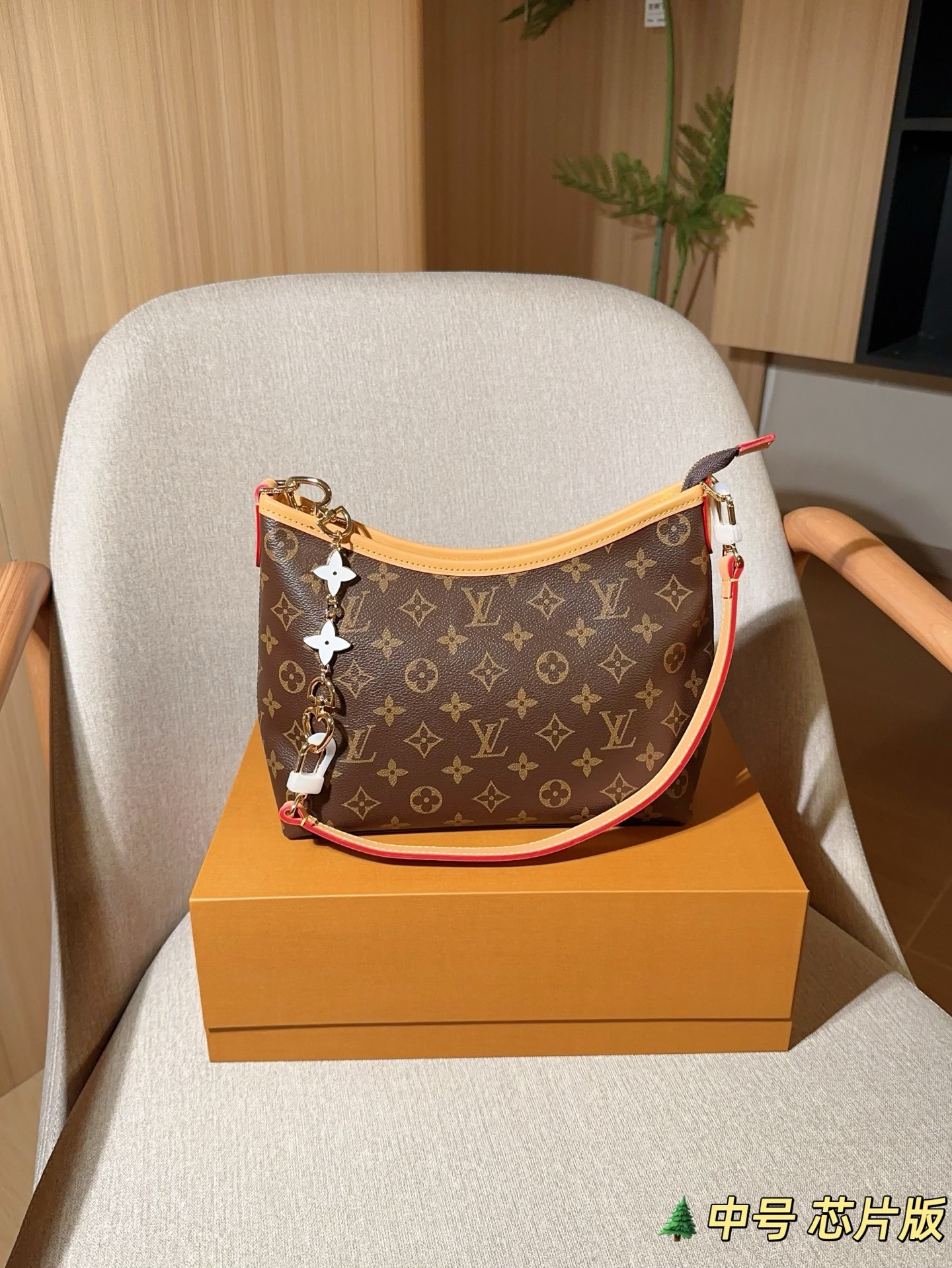 LV Hobo Bag