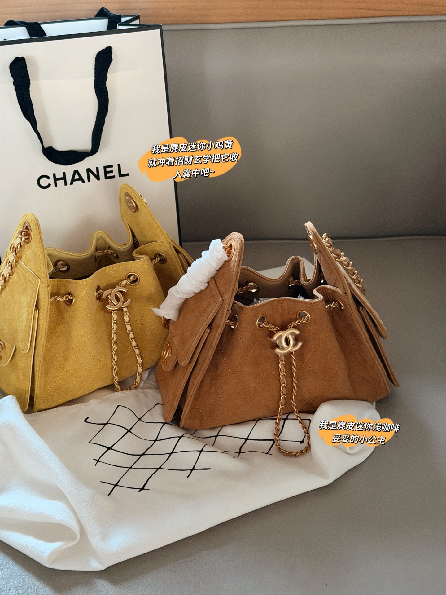 Chanel 25c Hobo Bag