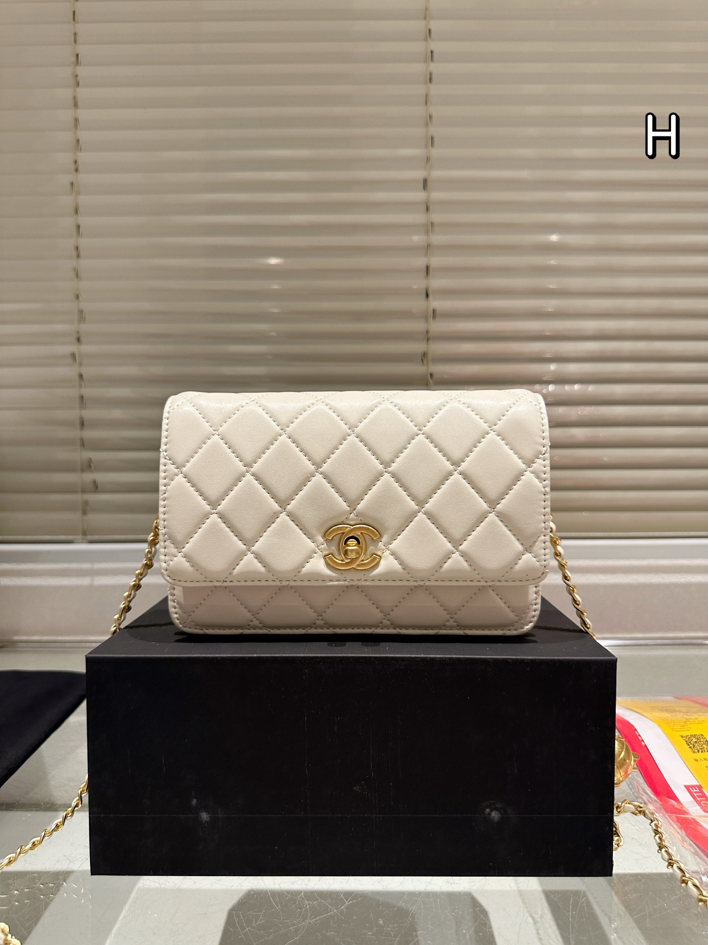 Chanel 19 Trendy Woc Crossbody Bag
