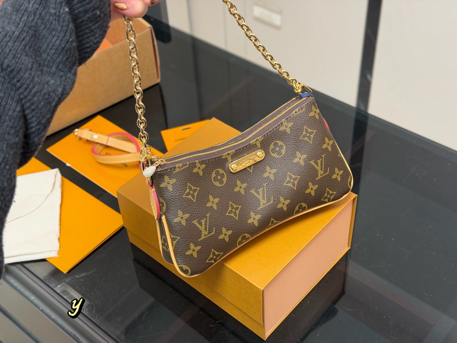 LV Hobo Bag