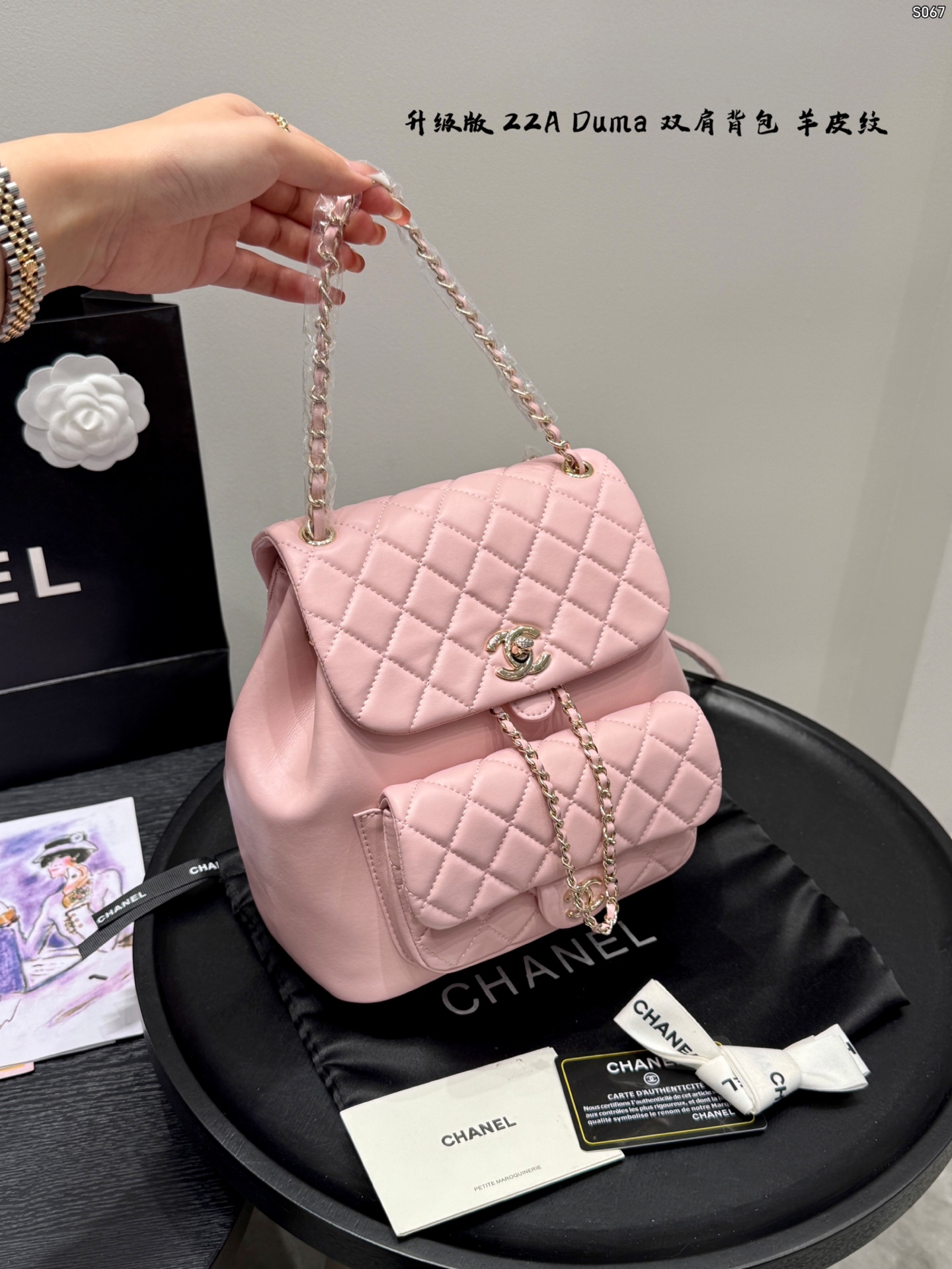 Chanel 22A Duma Backpack