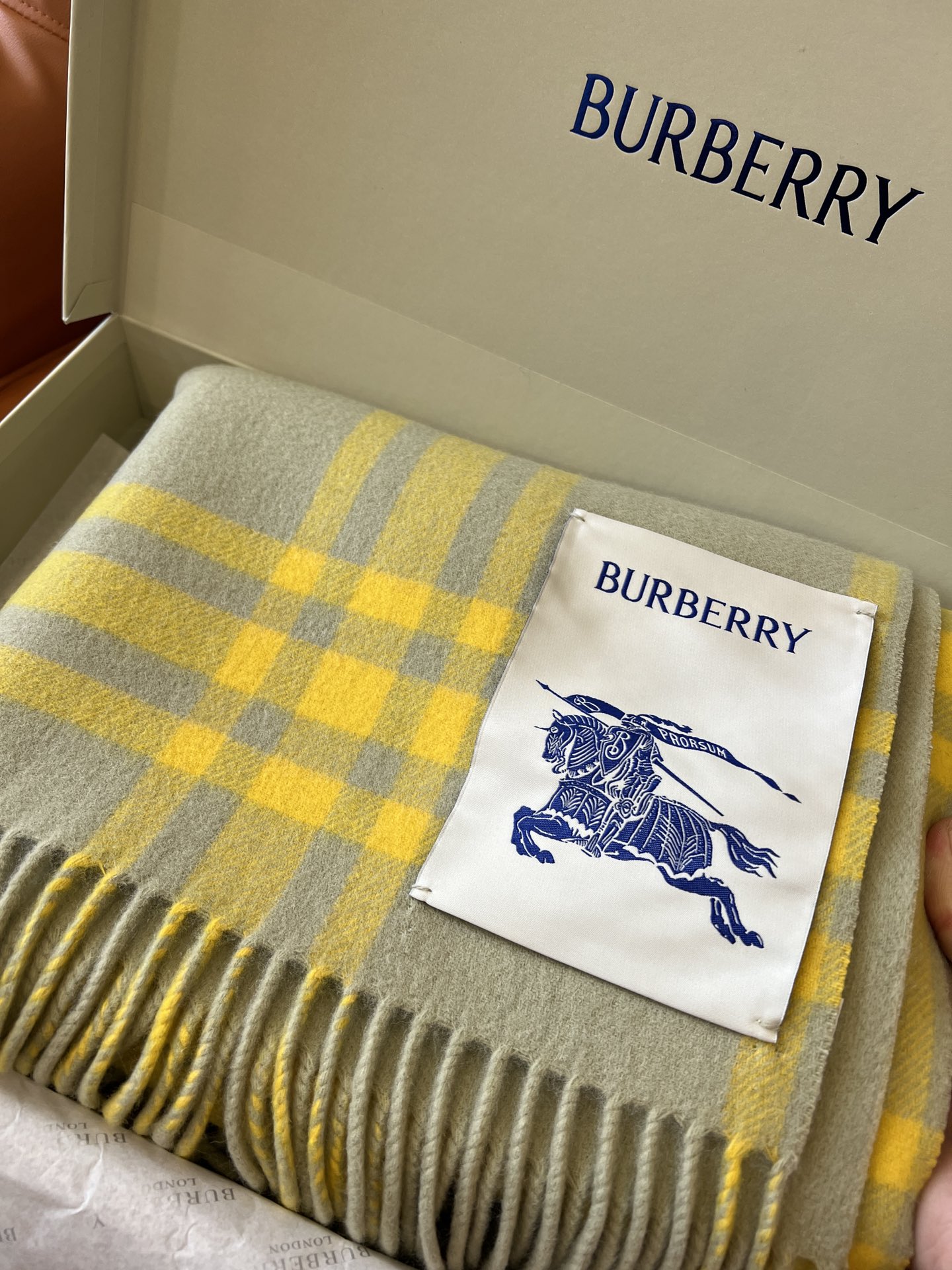 Burberry Scarves