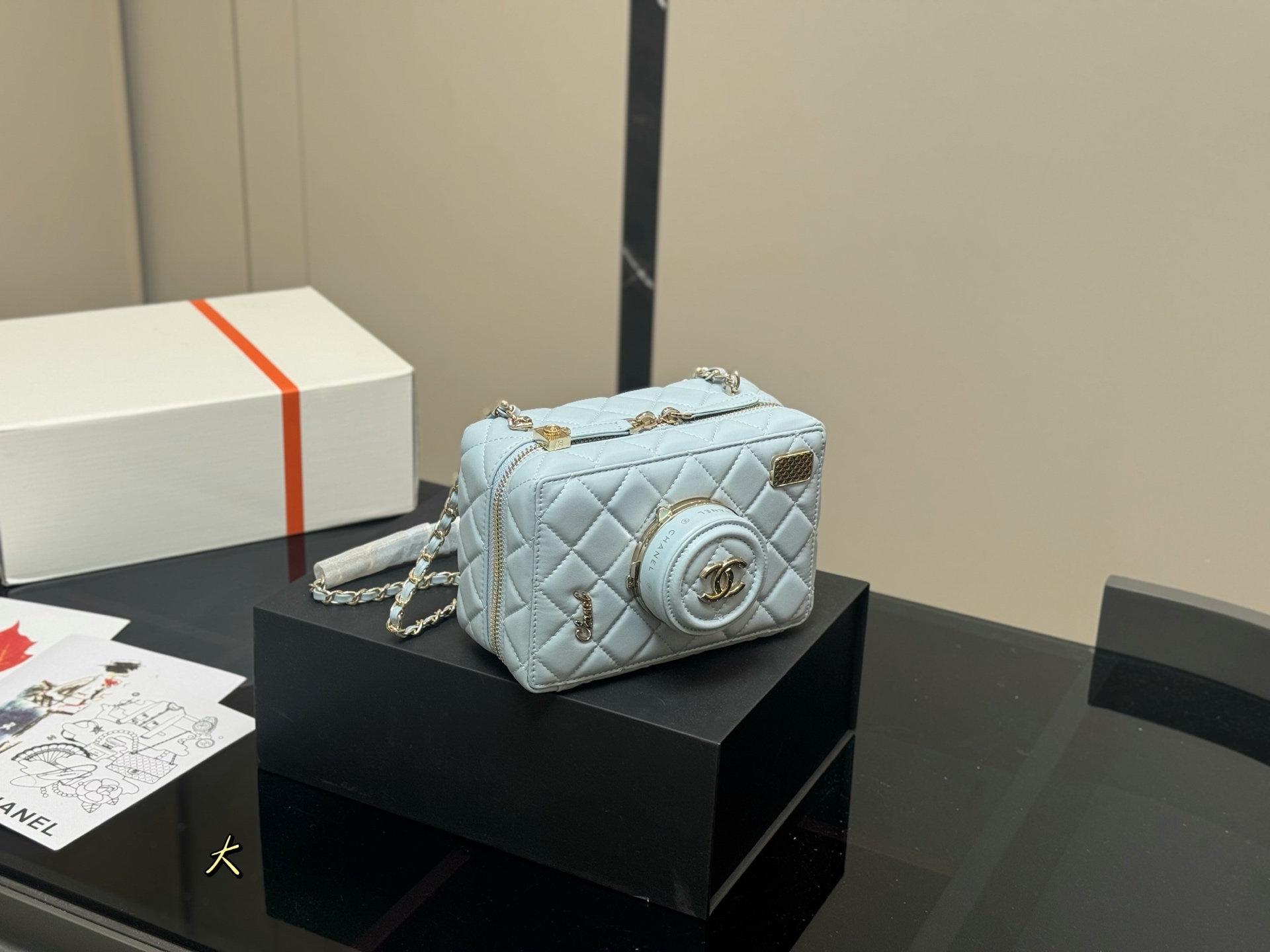 Chanel Camera Bag