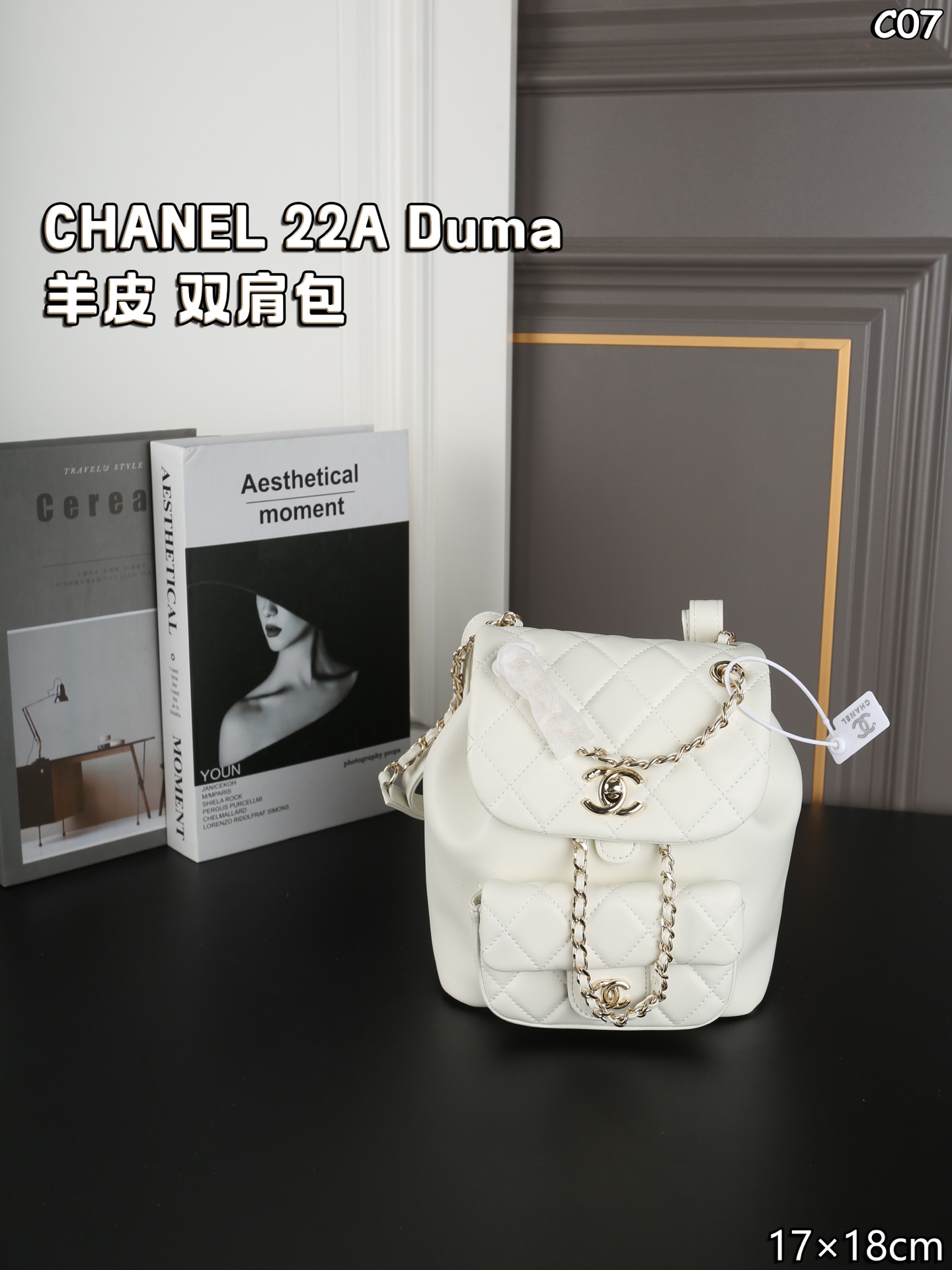 Chanel 22A Duma Backpack
