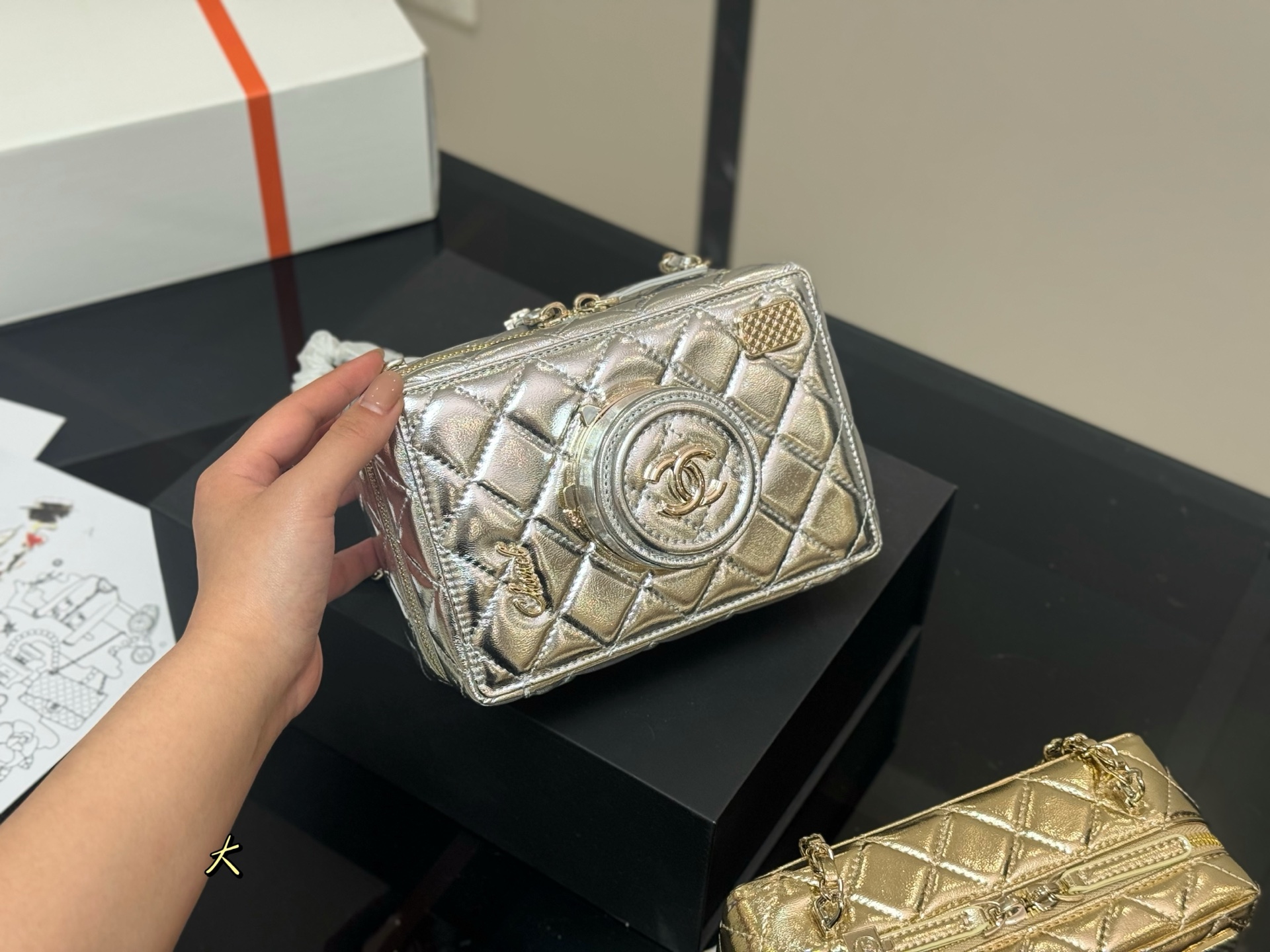 Chanel Camera Bag