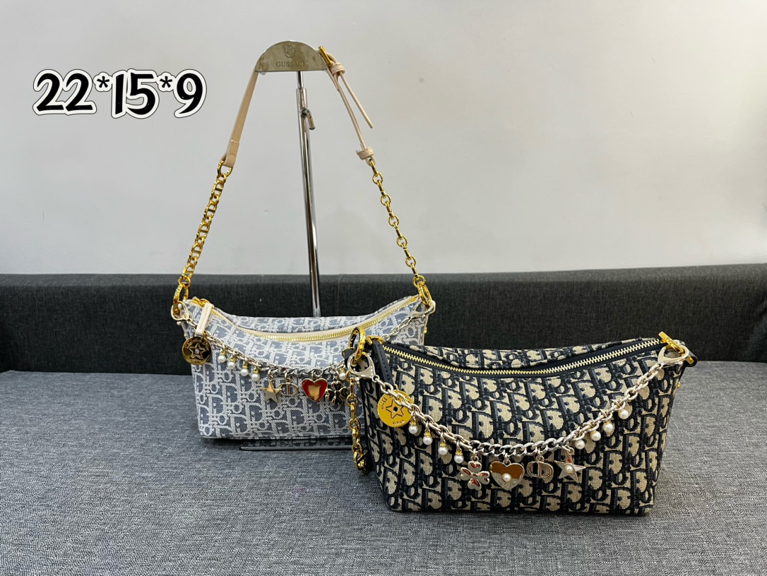 Dior Diorstar Hobo Chain Bag