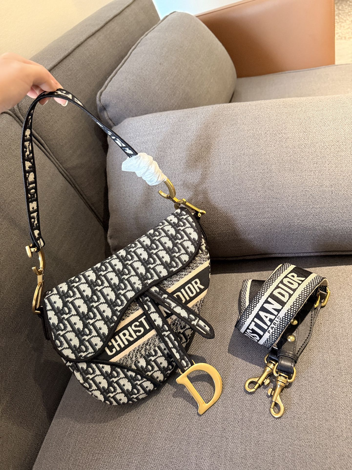 Dior Saddle Bag