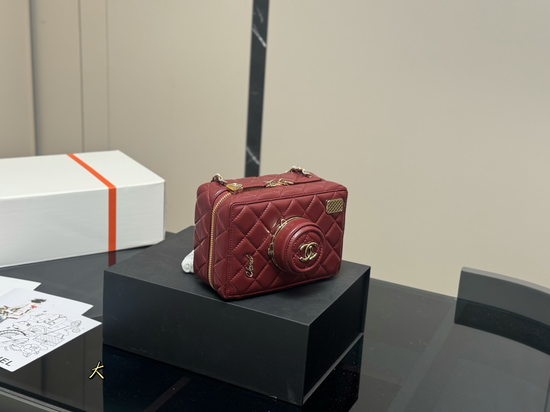 Chanel Camera Bag