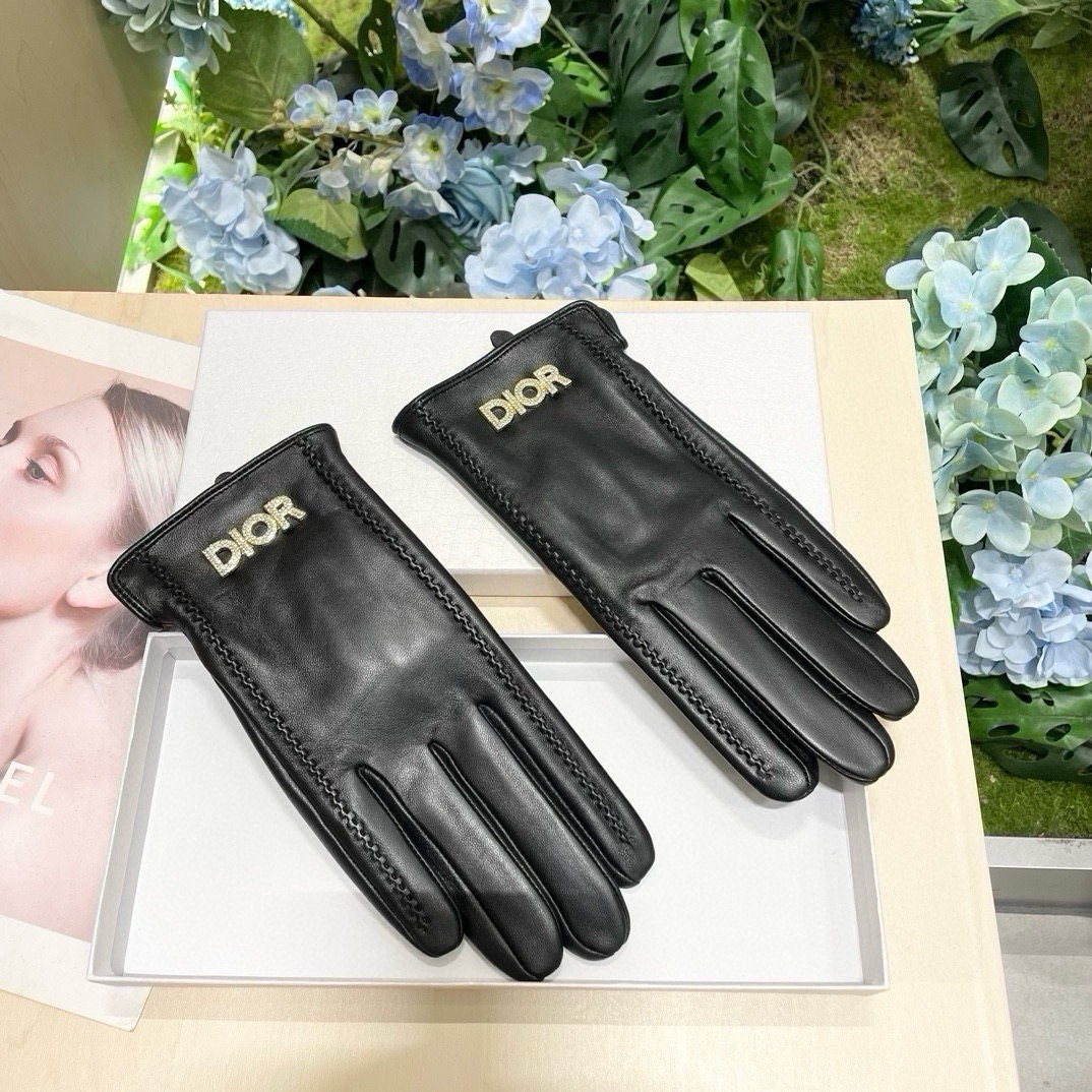 Dior Gloves